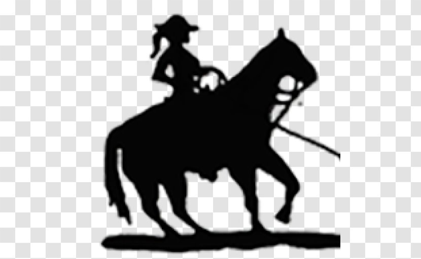 Horse Music Television Video Image - Rodeo - Burberry Logo Hillel Transparent PNG