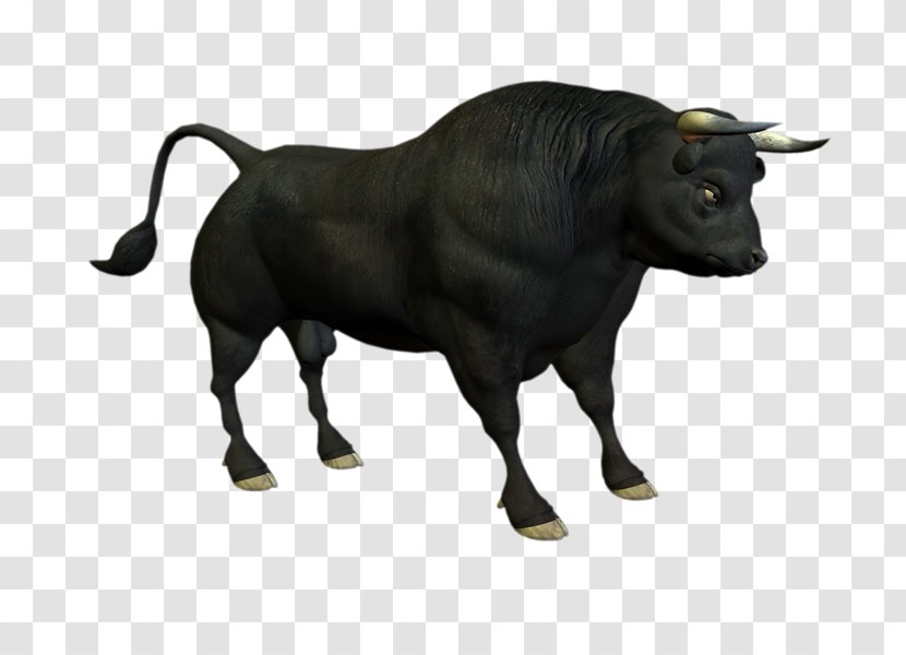 Bull Angus Cattle Clip Art Transparent PNG