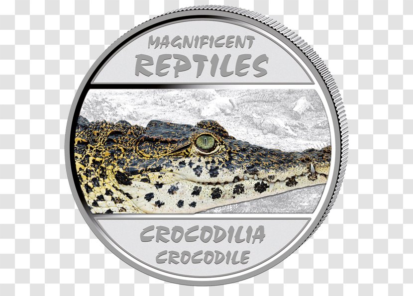 Crocodiles Turtle Silver Coin Cuban Crocodile - Franc Transparent PNG