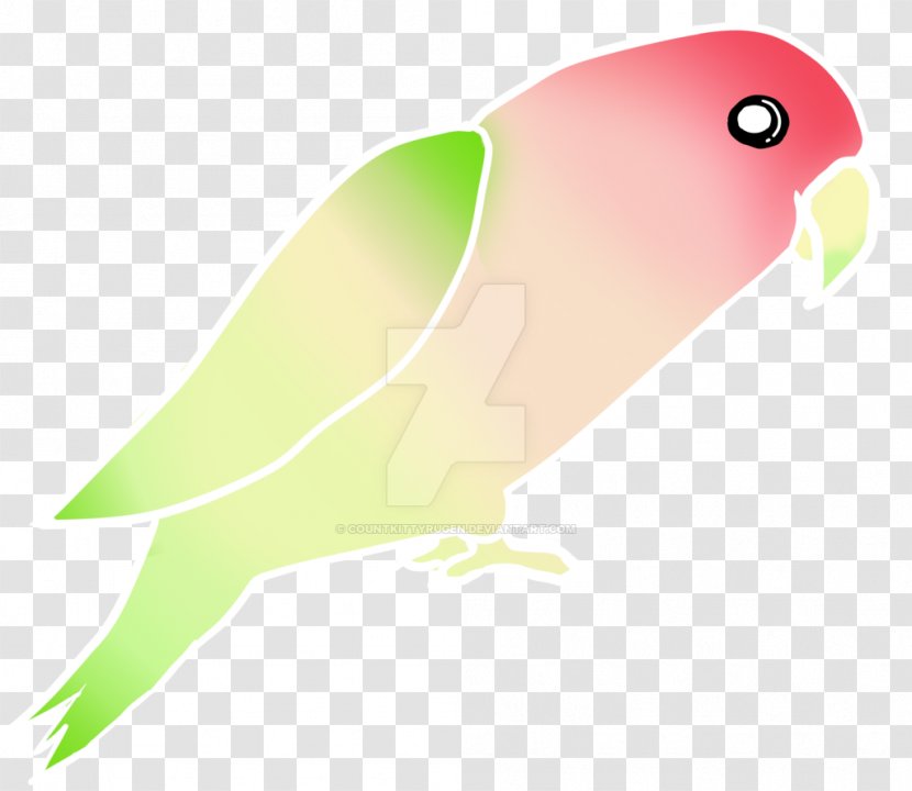 Lovebird Parakeet Feather Beak - Parrot Transparent PNG