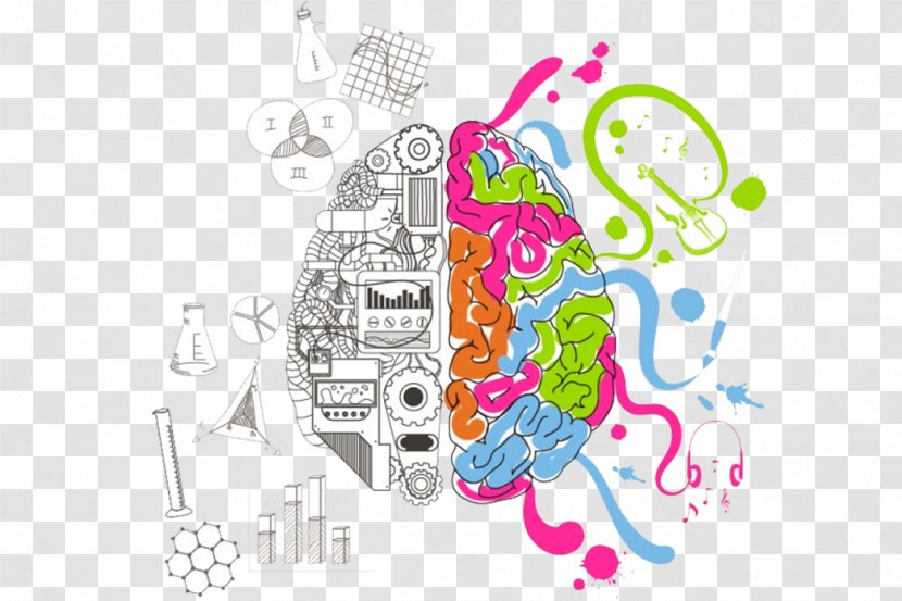 Cerebral Hemisphere Drawing Brain Sketch - Watercolor Transparent PNG