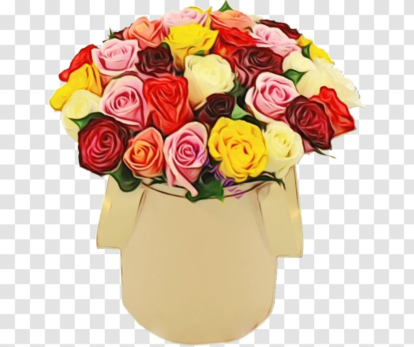 Watercolor Floral Background - Petal - Hybrid Tea Rose Floristry Transparent PNG