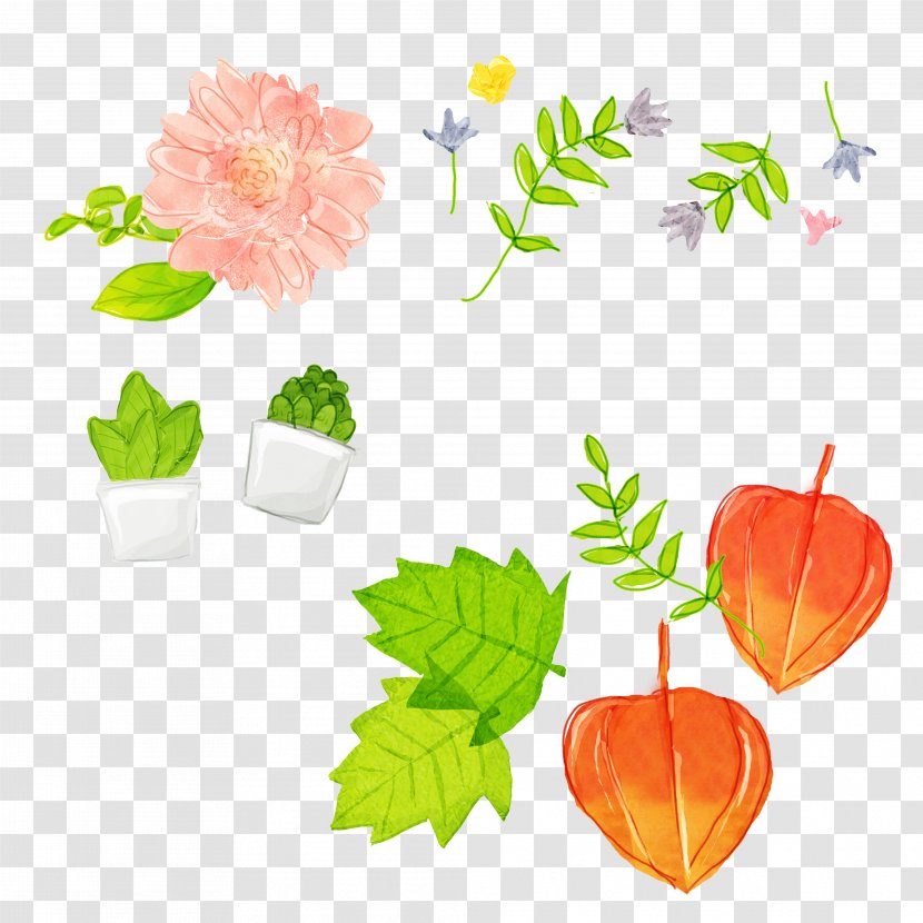 Bonsai Flowerpot Illustration - Cartoon - Plant Transparent PNG