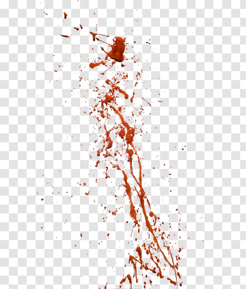 Blood - Heart - Twig Transparent PNG