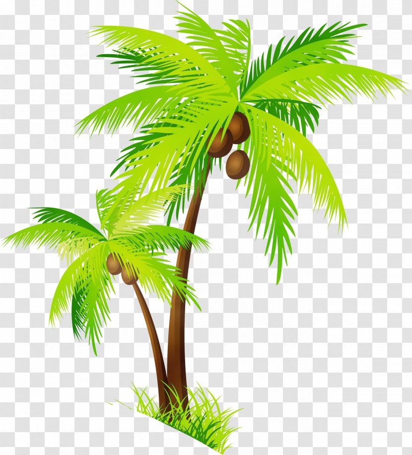 Clip Art Coconut Palm Trees Transparency - Kerala - Vegetation ...