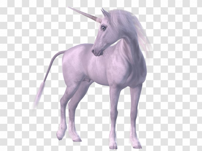 Horse Unicorn Legendary Creature - Neck - Horn Transparent PNG