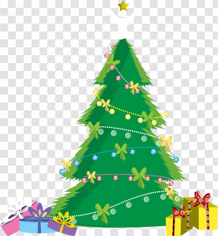 Vector Christmas Tree - Spruce - Evergreen Transparent PNG