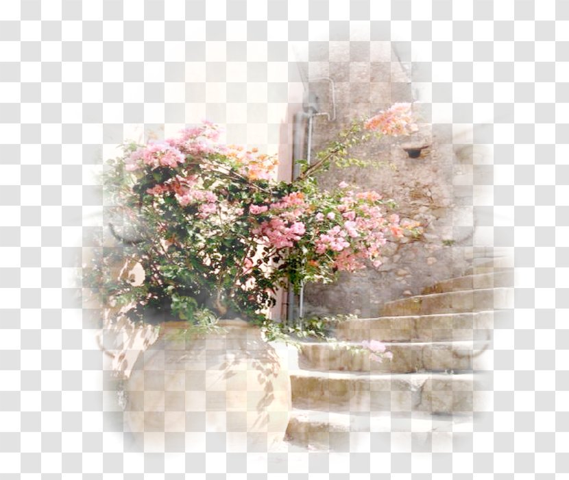 Floral Design Flower Bouquet Desktop Wallpaper Petal - Rose Family Transparent PNG