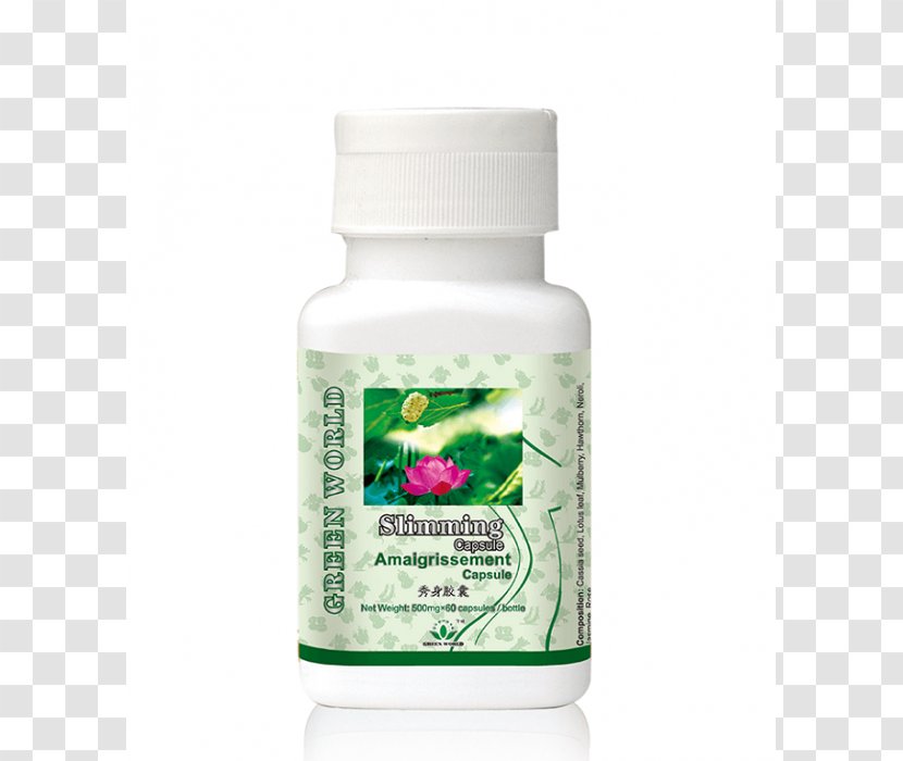 Green World International Dietary Supplement Weight Loss Capsule Food - Tablet - Eco Slim In Pakistan Transparent PNG