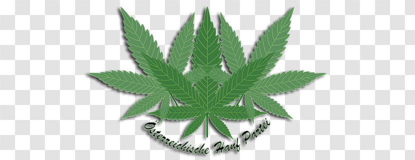 Cannabis Cannabidiol Hemp Article Bag Transparent PNG