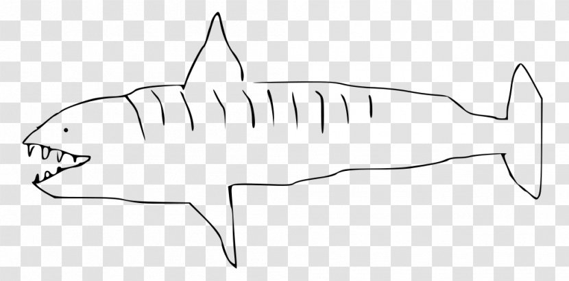 Requiem Shark Drawing Tiger Clip Art - Creative Transparent PNG