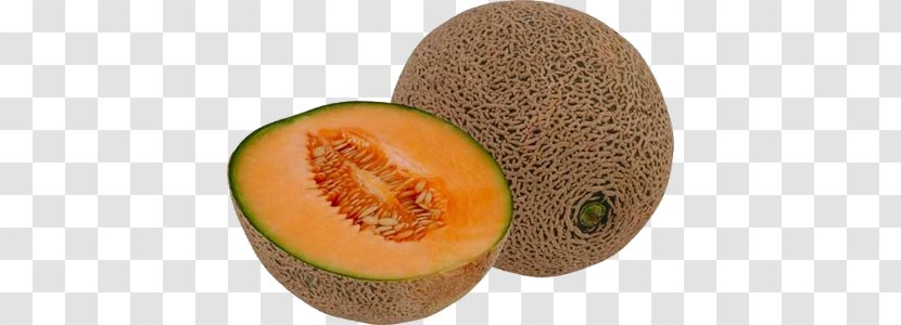 Cantaloupe Succade Santa Claus Melon Fruit - Muskmelon Transparent PNG