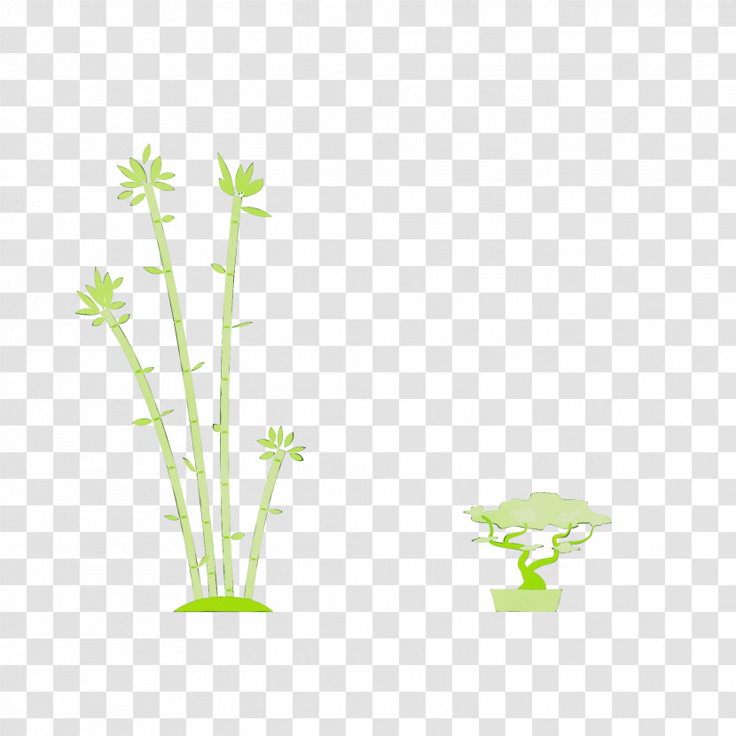 Plant Stem Leaf Grasses Tree Green Transparent PNG