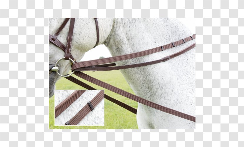 Draw Reins And Running Shire Horse Pony Equestrian Transparent PNG