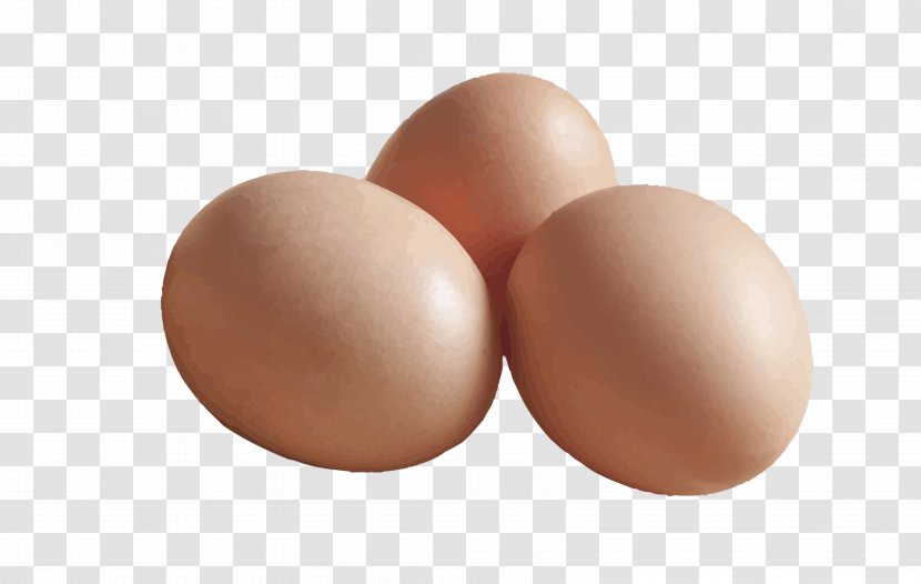 Egg Brown - Hand-painted Eggs Vector Transparent PNG