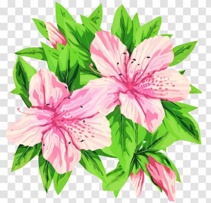 Pink Flowers Clip Art Green - Flowering Plant Transparent PNG