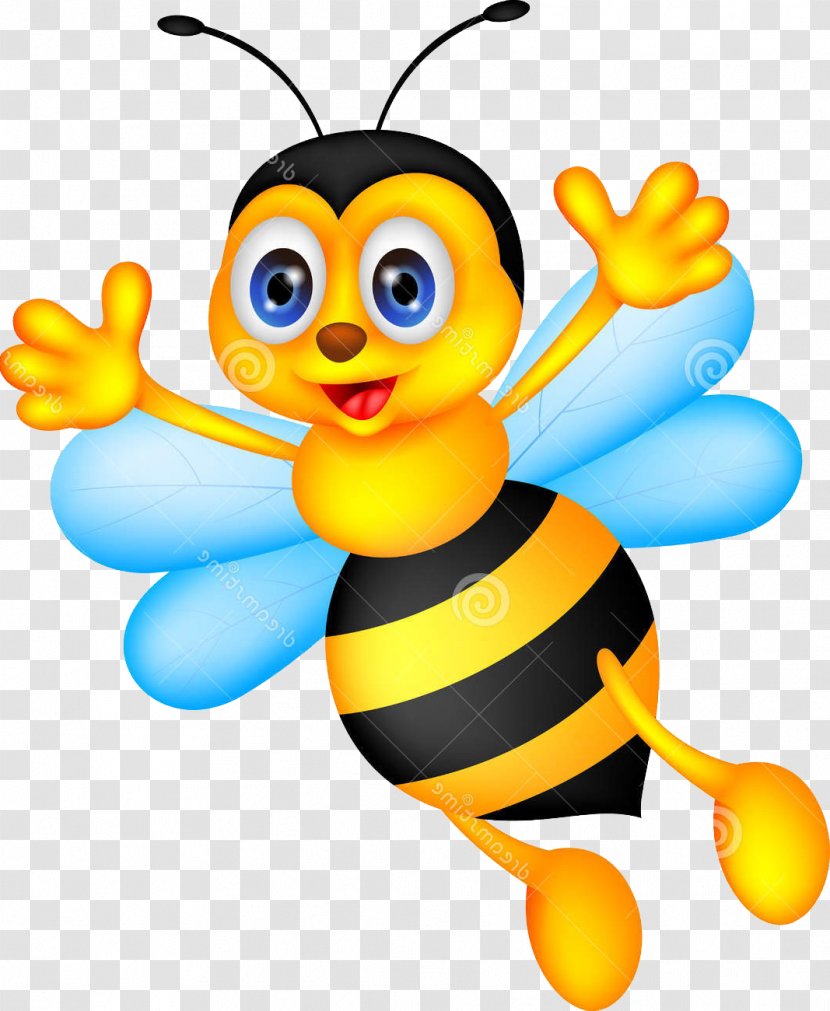 Honey Bee Clip Art - Wing - Cartoon Insect Transparent PNG