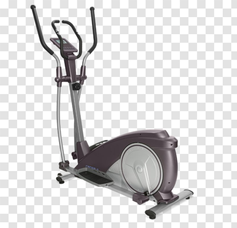 Elliptical Trainers Exercise Machine Physical Fitness Cariba, оптово-торговая компания Centre - Pygocentrus Cariba Transparent PNG