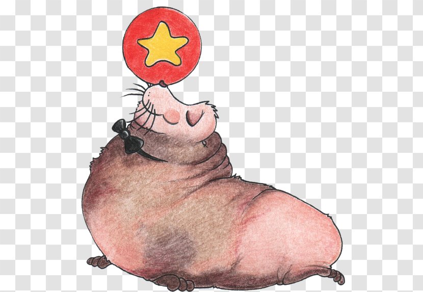 Pig Snout Carnivora Cartoon - Mammal - Circus Lion Transparent PNG