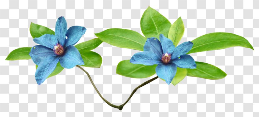 Artificial Flower - Plants - Wildflower Dayflower Family Transparent PNG