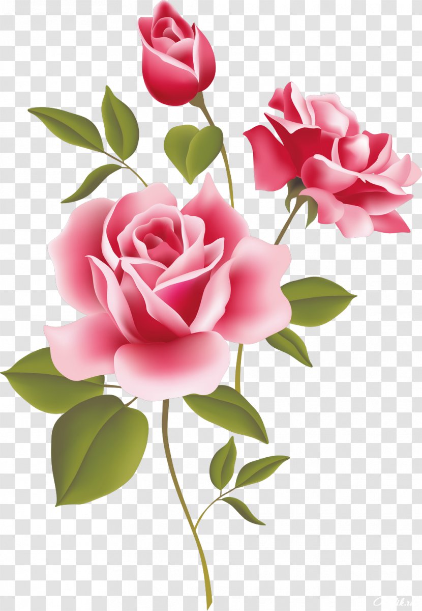Rose Clip Art - Floristry - Flower Transparent PNG
