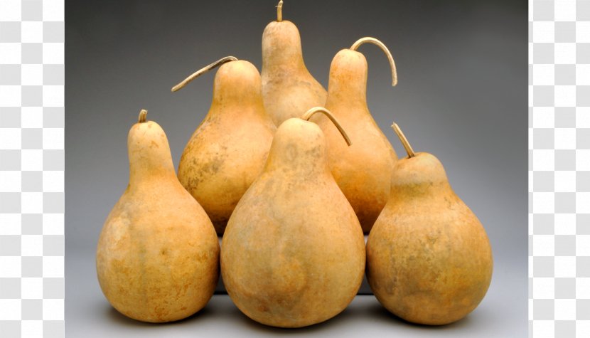 Gourd Calabash Calabaza Pumpkin Cucurbita - Vegetable - Bottle Transparent PNG