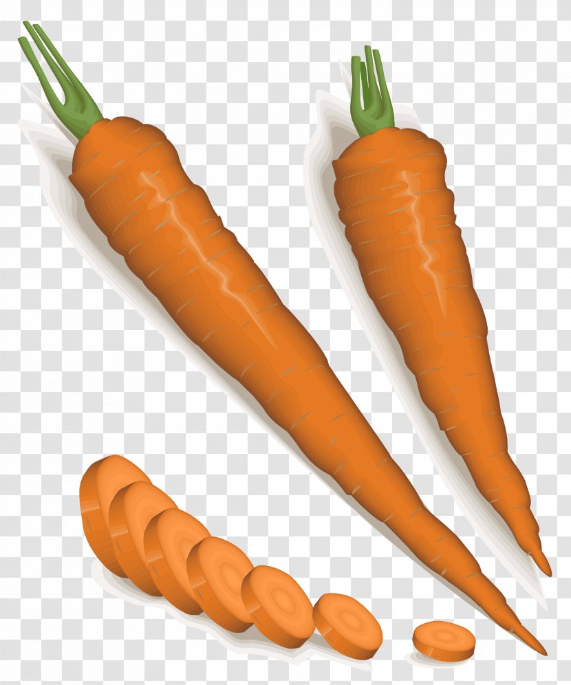 Baby Carrot Vegetable Clip Art Root Vegetables Cliparts Carrots Transparent Png
