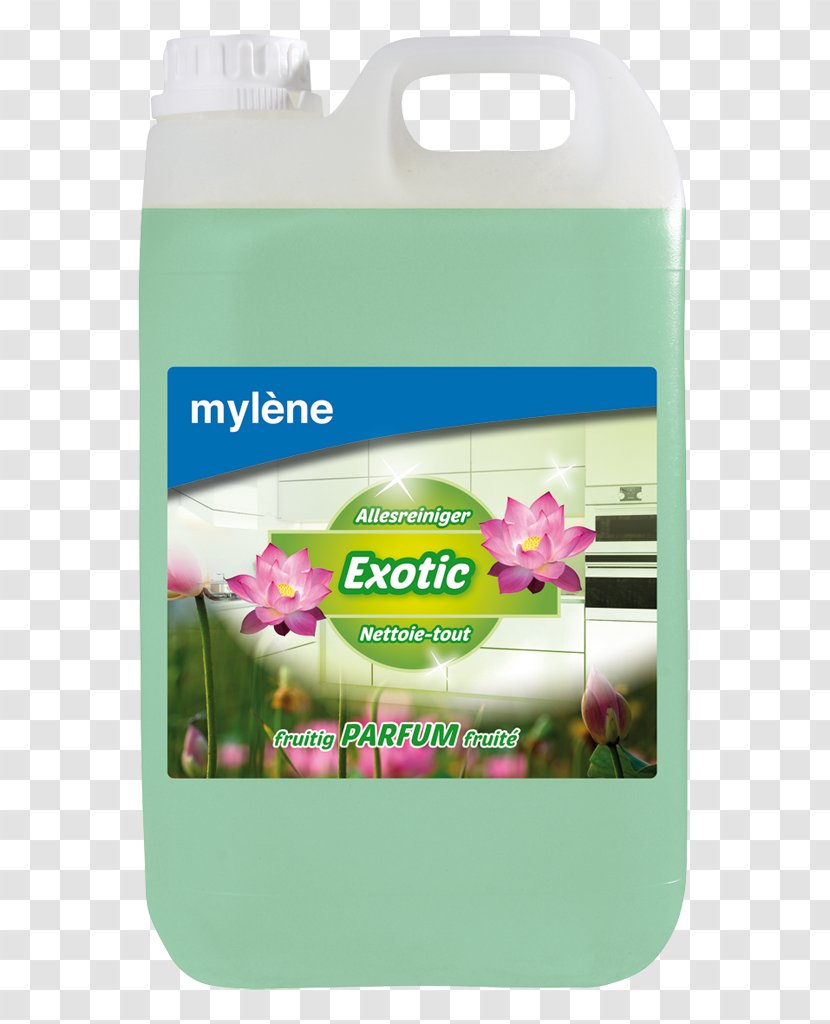 Brand - Mxylene Transparent PNG