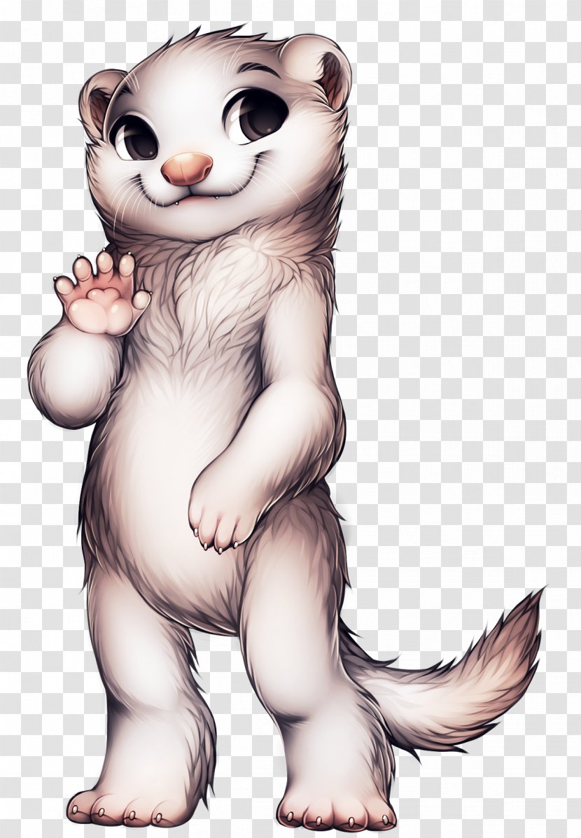 Otter Mustela Ferret Raccoon Cat Transparent PNG