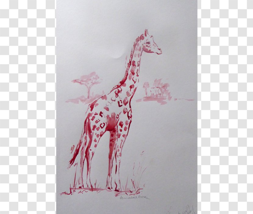 Giraffe Drawing Pink M /m/02csf RTV Transparent PNG