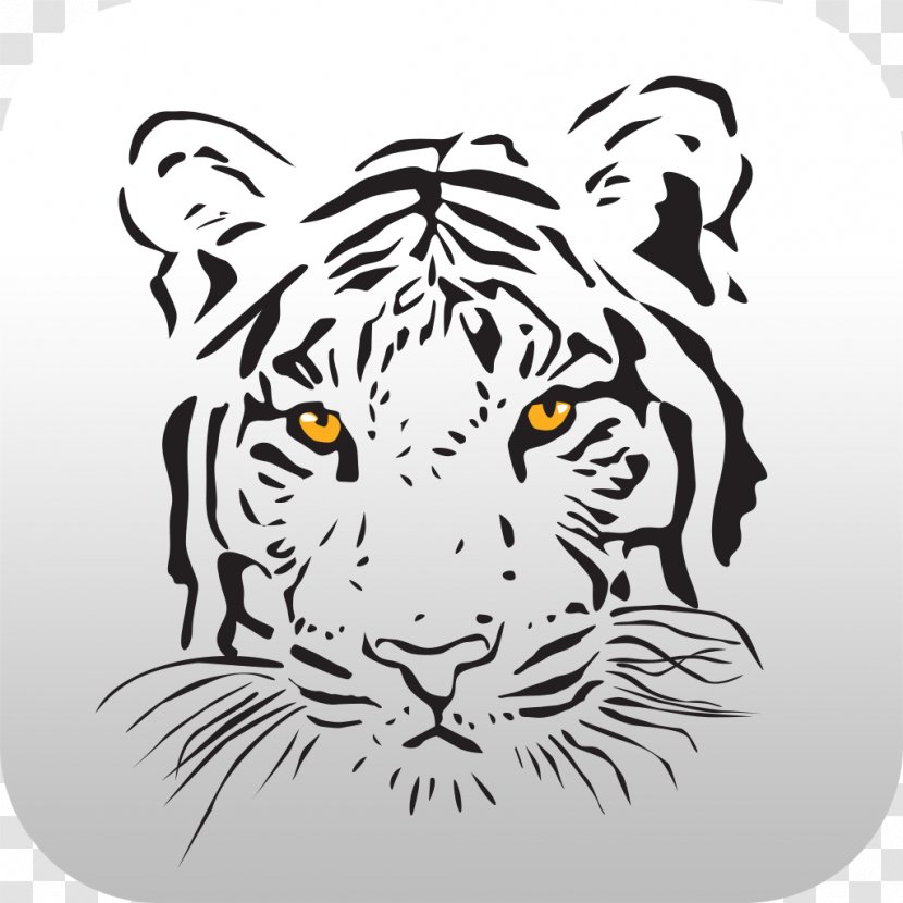 White Tiger Abziehtattoo Felidae - Head Transparent PNG
