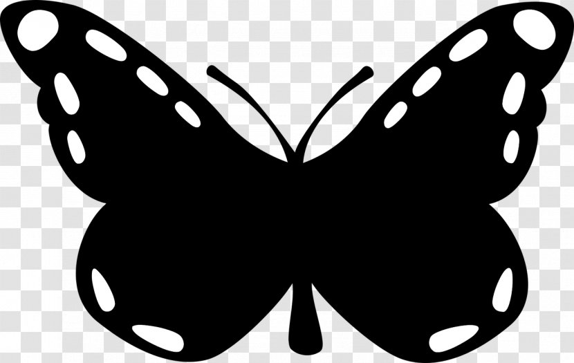 Butterfly Silhouette Insect Transparent PNG