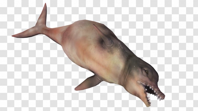 Fallout 4: Far Harbor Fallout: New Vegas Wiki Sea Monster - Tail - Creature Transparent PNG