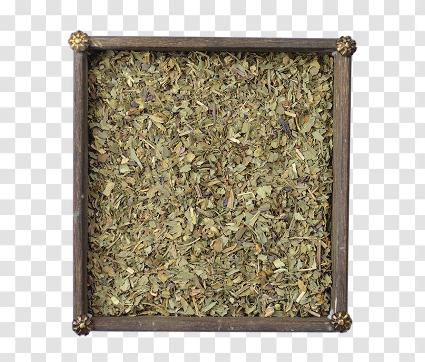 Rosemary Coriander Spice Flat-leaved Vanilla Herb - Quality Transparent PNG