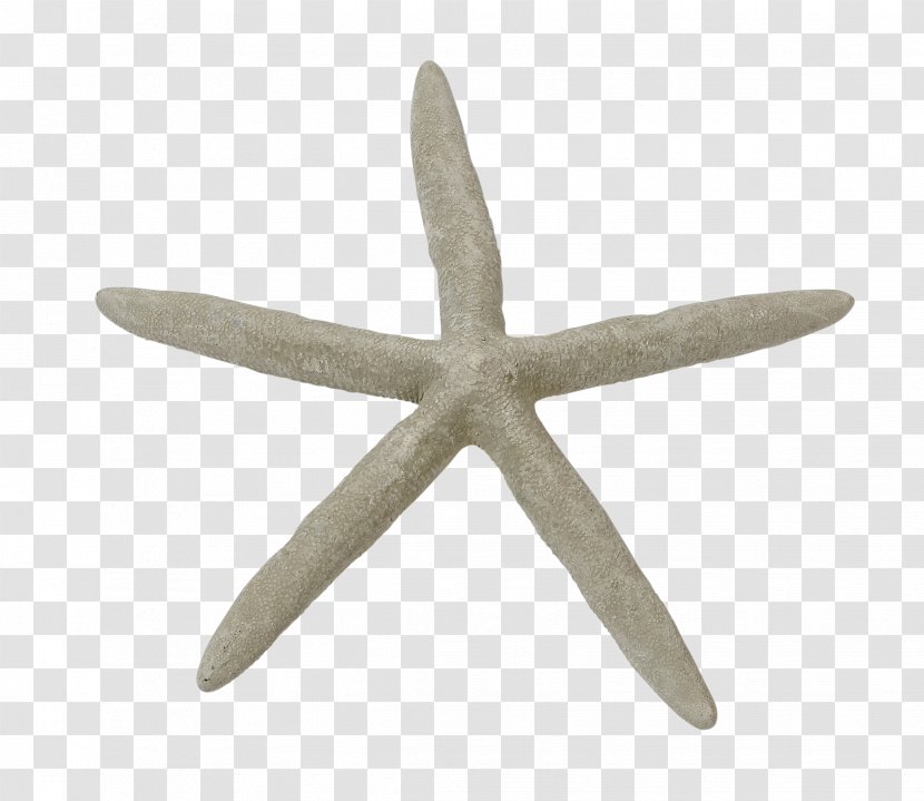 Marine Invertebrates Seashell Starfish - Metal Transparent PNG