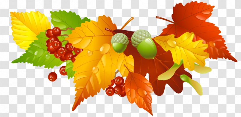Royalty-free Vector Graphics Stock Photography Borders And Frames Image - Branch - Autumn Transparent PNG