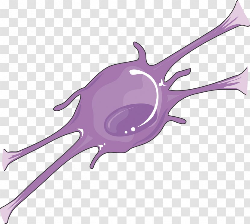 Oligodendrocyte Servier Medical Agy Neuron Clip Art - License - Medicine Transparent PNG
