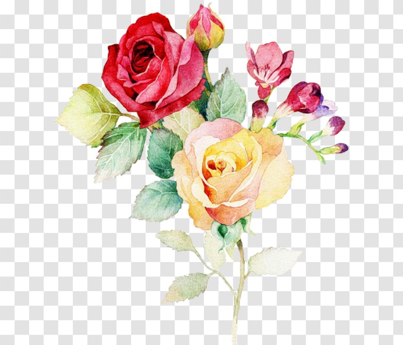 Watercolour Flowers Watercolor: Watercolor Painting Wedding Invitation - Plant Transparent PNG