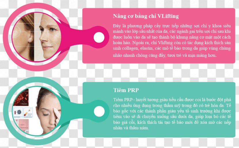 Product Design Brand Nose Font - Text Messaging - Hinh Bong Hoa Hong Sam Transparent PNG