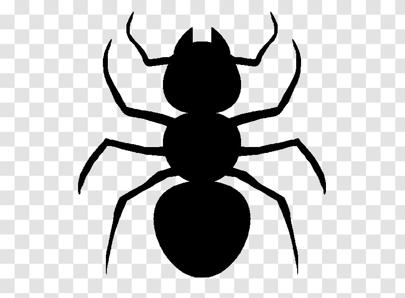 T-shirt Top Ant Insect Man - Bug Transparent PNG
