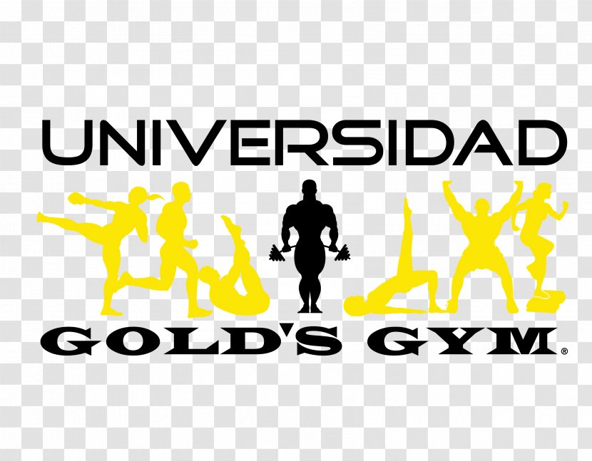 Gold's Gym Fitness Centre Physical Logo Exercise - Ocean Drive Transparent PNG
