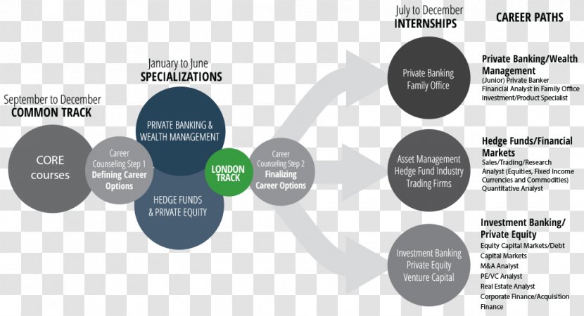 Brand Organization Diagram - Financial Industry Transparent PNG
