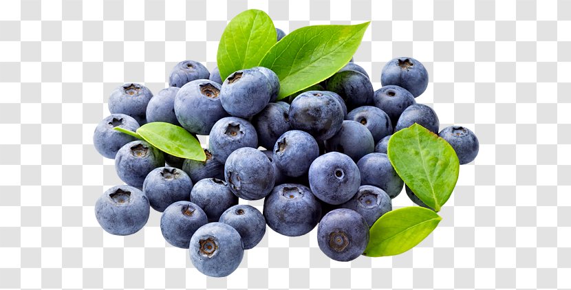 Blueberry Fruit Food Saturated Fat - Berry Transparent PNG