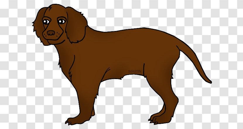 Water Background - English Cocker Spaniel - Pointing Breed Liver Transparent PNG