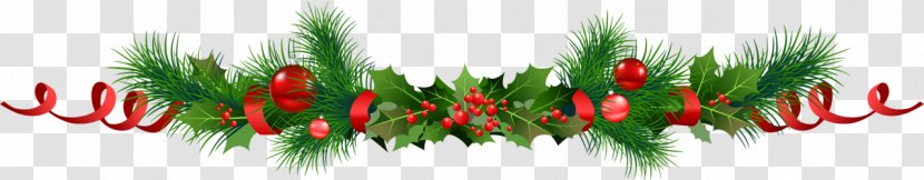 Christmas Decoration Common Holly Panettone Garland - Pine Family Transparent PNG