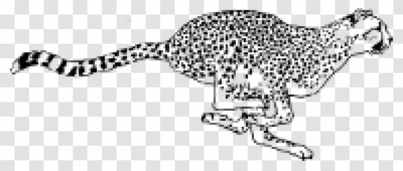 Big Cat Cheetah Mammal Animal - Line Art Transparent PNG