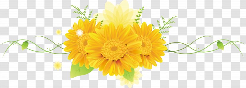 Cut Flowers Petal Desktop Wallpaper - Flower - Gerbera Transparent PNG