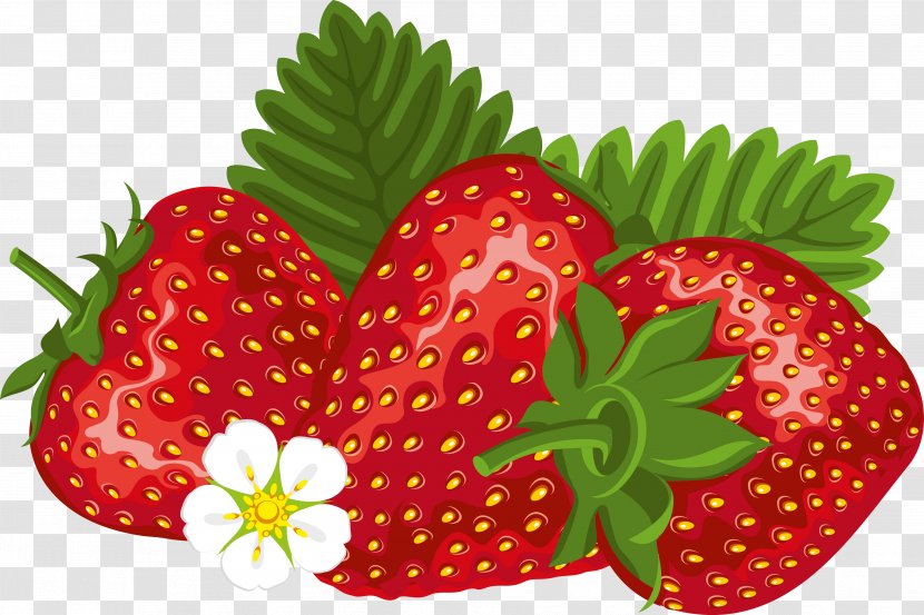 Shortcake Milkshake Florida Strawberry Festival Clip Art - Berry Transparent PNG