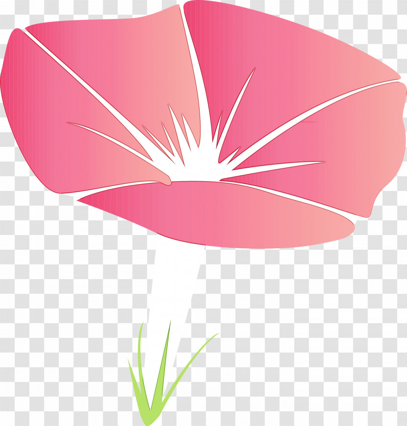 Pink Petal Flower Plant Leaf Transparent PNG