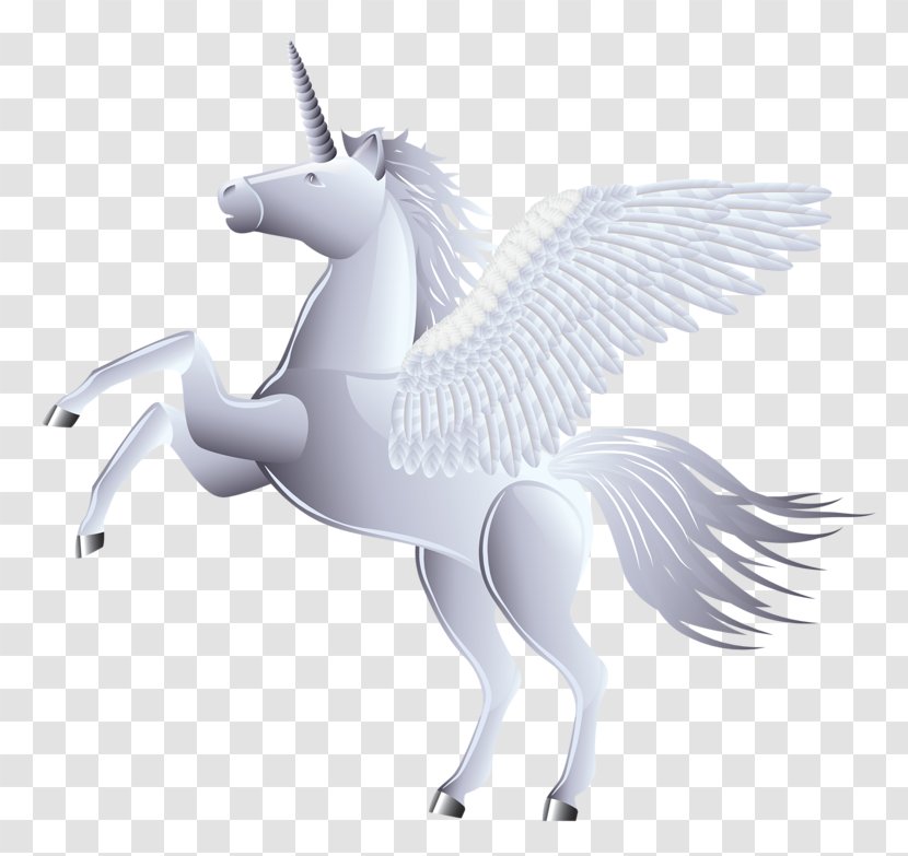 Unicorn Horse - White Transparent PNG